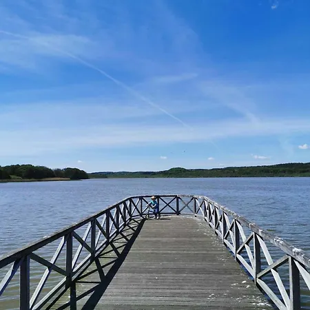 Seerosen - Seebrise *