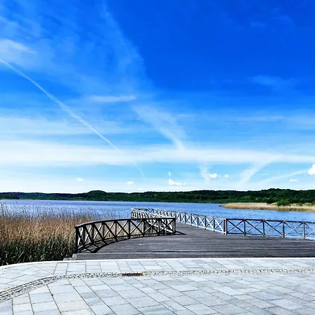 Seerosen - Seebrise