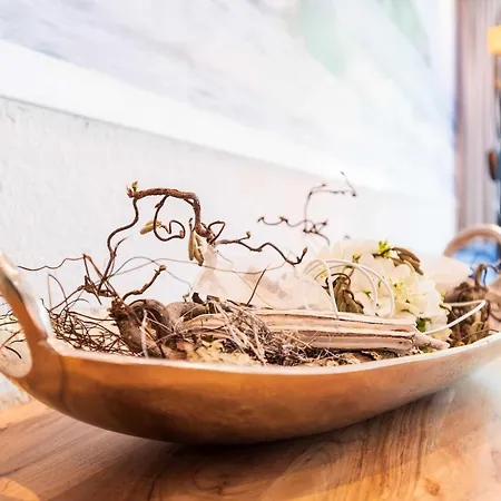 Seerosen - Seebrise 宾茨