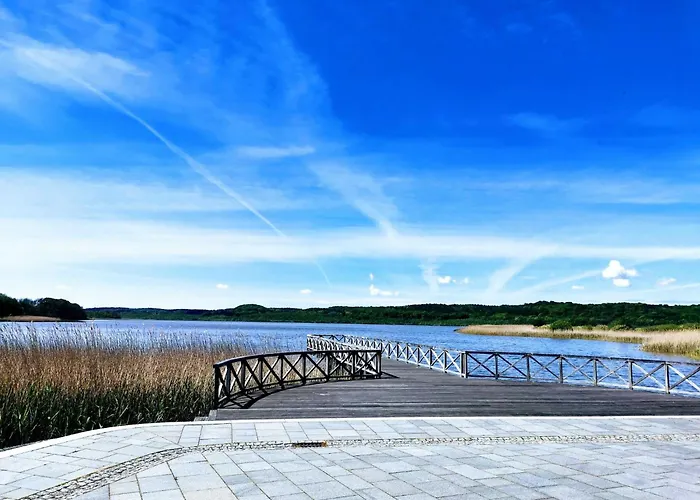 Seerosen - Seebrise